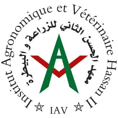 IAV Hassan II
