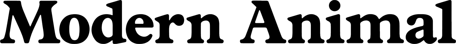 Modern Animal