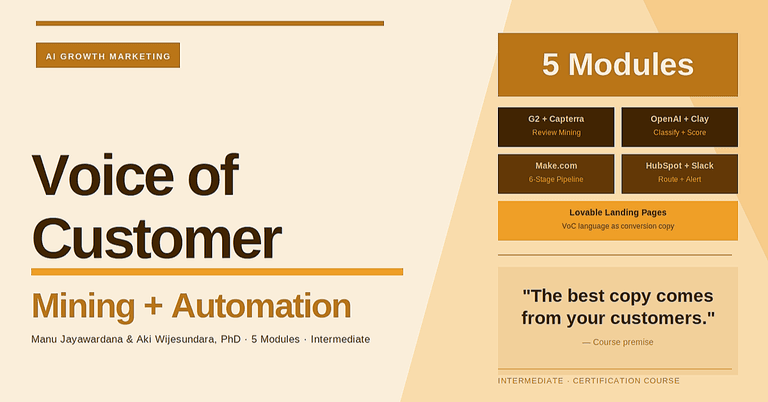 Voice of Customer (VoC) Mining & Campaign Automation cover image